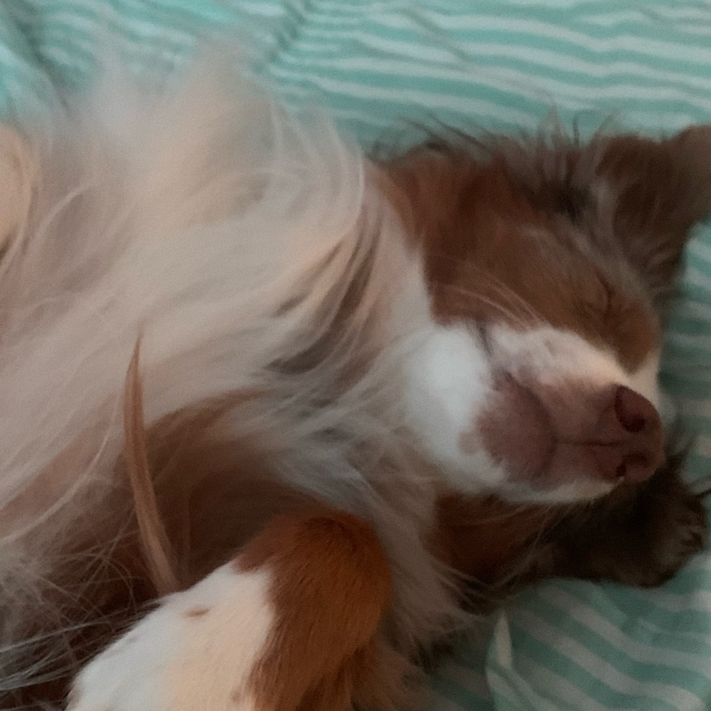 Meet your Posher, Olivia